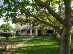 Apartment Dado